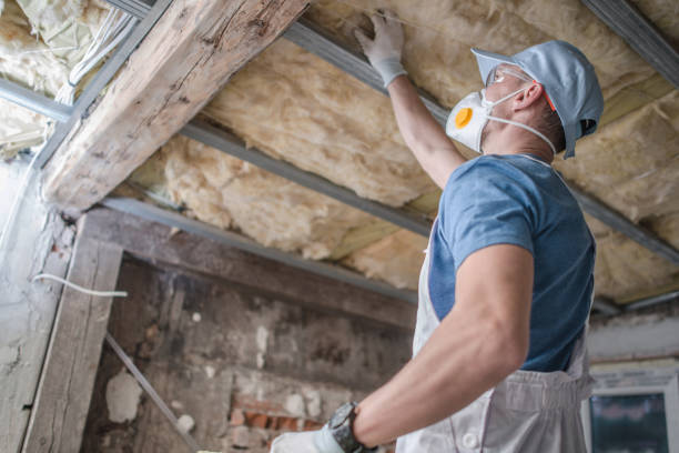 Best Cellulose Insulation in Mount Vernon, NY